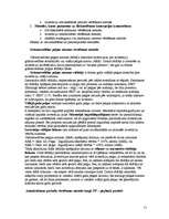 Referāts 'Investīciju novērtēšanas metodes', 15.