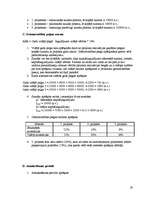 Referāts 'Investīciju novērtēšanas metodes', 19.