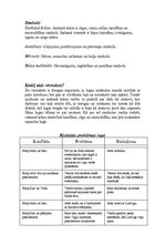 Konspekts 'L.Stumbre "Liels spoži sarkans autobuss" - dramatiska darba analīze', 2.