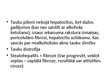 Prezentācija 'Steatoze. Fibroze. Ciroze. HVC', 15.