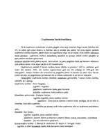 Biznesa plāns 'SIA "Komūna"', 3.