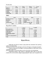 Biznesa plāns 'SIA "Komūna"', 8.