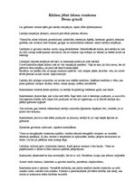 Konspekts 'Džeima N.Freja darba "Kā uzrakstīt sasodīti labu romānu" domu graudi', 1.