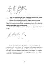 Referāts 'Faktori, kas ietekmē rezultātu izaugsmi 110m barjerskriešanā', 9.