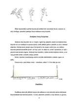 Referāts 'Faktori, kas ietekmē rezultātu izaugsmi 110m barjerskriešanā', 10.