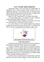 Referāts 'Lauksaimniecības uzņēmuma “Lauki” ražošanas attīstība', 12.