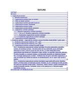 Referāts 'Organizācijas kultūra', 2.