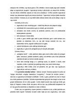 Referāts 'Organizācijas kultūra', 11.