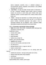 Referāts 'Organizācijas kultūra', 13.