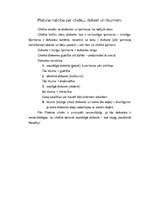 Konspekts 'Platona mācība par cilvēku, dvēseli un tikumiem', 1.