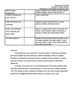 Prakses atskaite 'Pedagoģisko un psiholoģisko novērojumu prakse', 8.