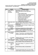 Prakses atskaite 'Pedagoģisko un psiholoģisko novērojumu prakse', 19.