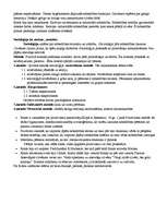 Konspekts 'Ogists Konts', 5.