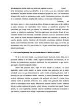 Referāts 'Uztura bagātinātāji', 19.