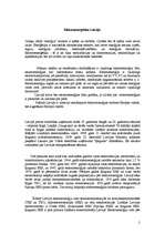 Referāts 'Elektroenerģija Latvijā', 2.