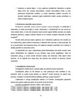 Diplomdarbs 'Rīgas 34.arodvidusskola mainīgajos tirgus ekonomikas apstākļos', 37.
