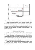 Referāts 'SIA "Kokrade" stratēģiskā analīze', 17.