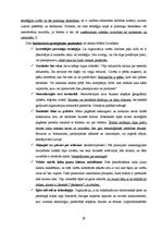 Referāts 'SIA "Kokrade" stratēģiskā analīze', 29.