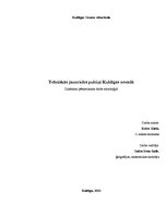 Referāts 'Tehniskās jaunrades pulciņi', 1.