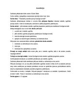 Referāts 'Tehniskās jaunrades pulciņi', 2.