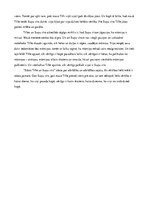 Eseja 'Andra Neiburga "Stāsts par Tilli un Suņu vīru"', 2.