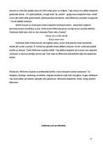 Referāts 'Ludvigs van Bēthovens', 16.