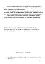 Referāts 'Ludvigs van Bēthovens', 17.