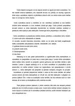 Referāts 'Izglītības iestāžu vadītāja darbība starptautisko mūzikas projektu organizēšanā', 11.