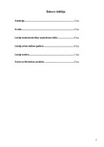 Eseja 'Projekta darbs ekonomikā', 2.