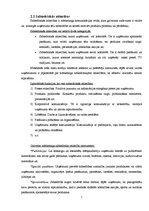 Referāts 'Mārketinga komunikatīvie līdzekļi', 7.