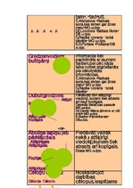 Referāts 'Ceļvedis literatūras pasaulē 7.klasei', 19.