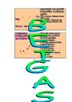 Referāts 'Ceļvedis literatūras pasaulē 7.klasei', 20.