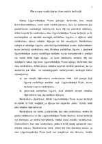 Konspekts 'Policijas sadarbība Šengenas konvencijas ietvaros', 5.