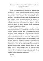 Konspekts 'Policijas sadarbība Šengenas konvencijas ietvaros', 9.