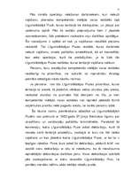 Konspekts 'Policijas sadarbība Šengenas konvencijas ietvaros', 11.