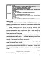 Referāts 'Darbinieku motivācijas modeļu pielietošana Latvijas Nacionālo bruņoto spēku orga', 17.