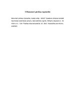 Paraugs 'Mērinstrumenti zefīra ražošanā', 12.