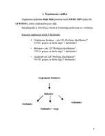 Biznesa plāns 'SIA "Koks"', 5.