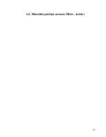 Biznesa plāns 'SIA "Koks"', 20.