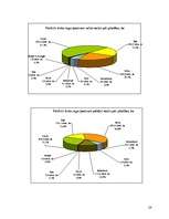 Biznesa plāns 'SIA "Koks"', 23.