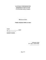 Referāts 'Vietējās adopcijas būtība un saturs', 1.