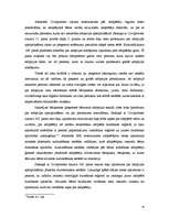 Referāts 'Vietējās adopcijas būtība un saturs', 29.