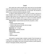 Referāts 'Fizioloģiskais miegs', 5.