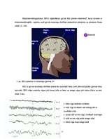 Referāts 'Fizioloģiskais miegs', 8.