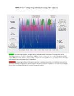 Referāts 'Fizioloģiskais miegs', 63.