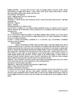 Konspekts 'Noras Ikstenas darbu apskats', 3.