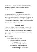 Referāts 'Somaiņi', 4.