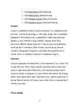 Referāts 'Somaiņi', 5.