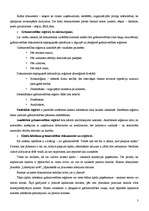 Konspekts 'Saimniecisko operāciju dokumenti un grāmatvedības uzskaites reģistri', 3.