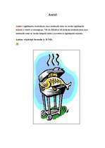 Referāts 'Amīni', 1.